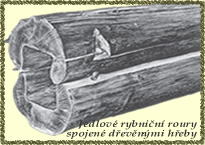 jedlové roury